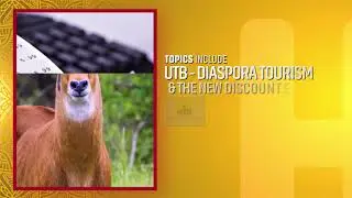 UG DIASPORA BUSINESS EXPO BBS TV ADVERT HD