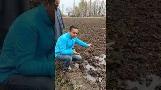 Due to unfavorable weather Advisory for Rabi Crops