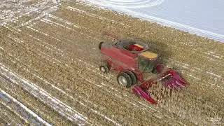 February Winter Corn Harvest Near Stillwater Minnesota