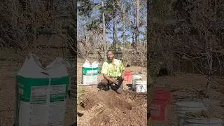 Never-Fail Tips for Growing Blueberry Bushes