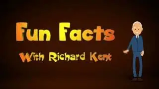 Richard Kent&acute;s Fun Facts - How Nerve Cells work