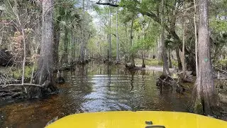 Bull Creek