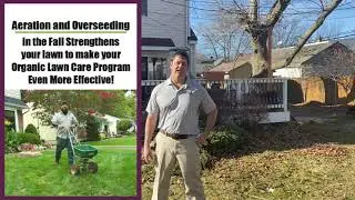 What you need to know about Organic Lawn Care