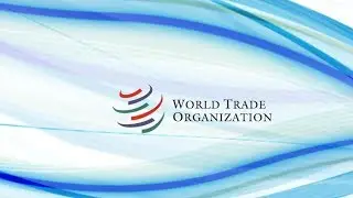 WTO meeting in Buenos Aires ends without major agreements