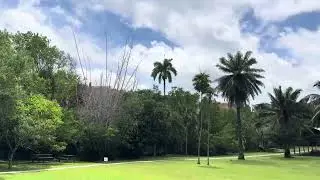 &lsquo;Miami Vice&rsquo; Filming Location&rsquo;s(The Barnacle)