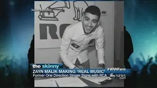 Former &ldquo;One Direction&rdquo; Singer Zayn Malik Is Officially Going Solo | ABC News