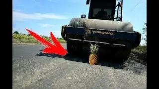 Crushing Crunchy & Soft Things by Road roller! EXPERIMENT