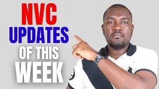 NVC update of This Week | Cases, Documents, Inquiries