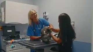 Meet Dr. Heather Kirchart | Columbia Pike Animal Hospital & Emergency Center