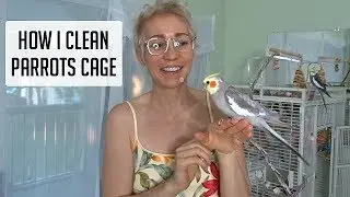 How I clean my parrots cage: Quick n' Easy!! 😀👍💖