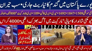 Today Wheat price in punjab//گندم کا ریٹ 2025/munji makki till sarso/Galla mandi rate today