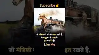 💥True Line States💥💫 Motivational quotes🤕 #shorts#motivation#states#Trending#viral#youtubeshorts