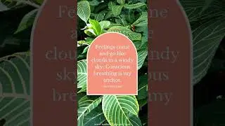 #mindfulnessmeditation #presentmomentawareness #relaxation #calmquotes
