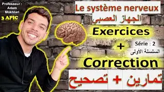 Exercices corrigés (série 1) - système nerveux (الجهاز العصبي) - 3ème année collégial - Maroc