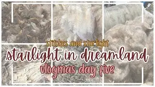 2025 Vlogmas Day 5 - Tips For Buying A Fleece At A Fiber Show || S&S Sits and Spins