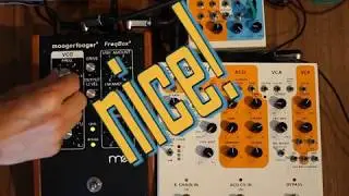 Moog FreqBox with Squaver P1+