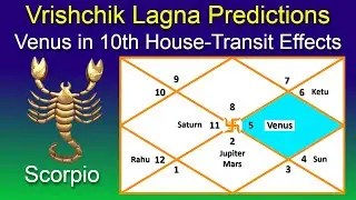 Venus in 10th House for Scorpio Ascendant | Vrishchik Rashi 2024 Predictions | Vedic Astrology Lagna