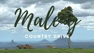 Drive Maleny and Sunshine Coast Hinterland. Lookouts and Town.