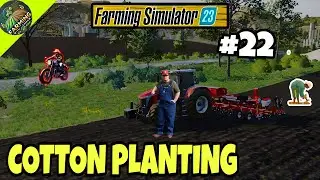 Let's play Amberston series #22 Cotton plants with Massey Ferguson Making Chaff Fs23 | Hindi & Urdu