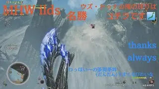 【ネタバレ】【PS5】【モンスターハンターワイルズ】　株式会社カプコン(CAPCOM CO., LTD.)【モンハンワイルズ】ウズ・トゥナの滝昇りｗ
