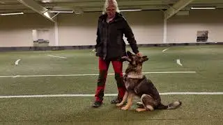 Pia & MoiMoi träningstävling startklass