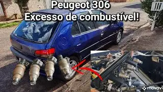 Peugeot 306 Cheirando combustível !!