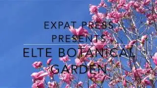 Expat Press presents ELTE Botanical Garden