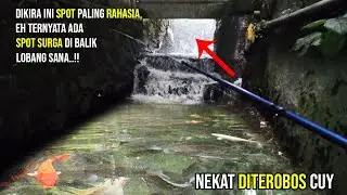 MANCING IKAN WADER BEUNTEUR - MENEMUKAN SPOT TERSEMBUNYI - MANCING DI SELOKAN - MICRO FISHING BOGOR