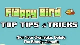 Flappy Bird - Top Tips & Tricks for a high score (Gameplay)