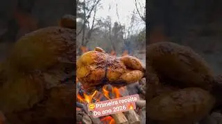 🔥mestre Gordim 😂 em cozinha melhor que eu #03 #comidaboa #felizanonovo #bomdia #mestre