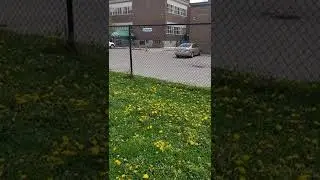 Islamic School in Canada - Muslim Kids - Cambridge Ontario