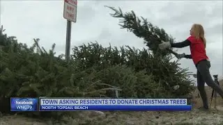 Topsail Beach Tree Collections