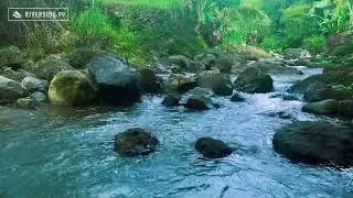 River Sounds for Sleeping Without Music | Pure Flowing River White Noise