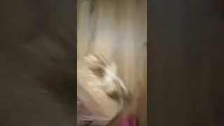 Jenqa