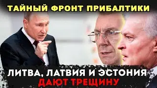 ТАЙНЫЙ ФРОНТ ПРИБАЛТИКИ: ПОЧЕМУ АРМИИ ЛИТВЫ, ЛАТВИИ И ЭСТОНИИ ДАЮТ ТРЕЩИНУ?