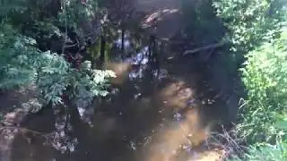 Is the Trophy Rock Four65 working ?