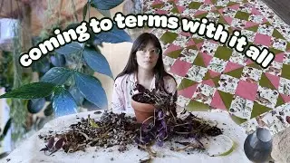 VLOG | repotting and cleaning plant chores, finishing a quilt top, and life chat!