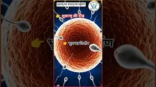 Fertilization - Pregnancy - Baby Delivery 😲शुक्राणु से शिशु तक!  #Shorts#fertilization​ #science