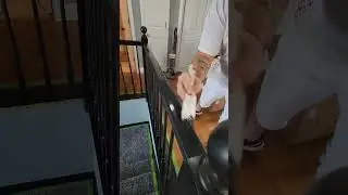 Black Gloss Banister. #painting #home #house #realestate #money #usa #homemade #fyp