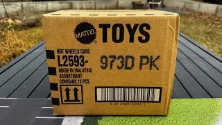 Final Grade: Hot Wheels 2026 D Case