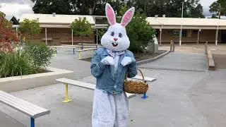 Top Secret Mission - Easter Bunny