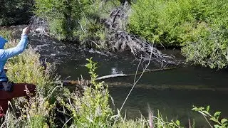 Hat Creek | Fly Fishing Waterfront Land Property For Sale