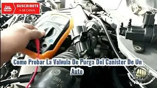 Como Probar La Valvula De Purga Del Canister De Un Auto