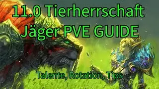 Tierherrschaft Jäger PVE GUIDE 11.0 | Talente, Rotation, Consumables, makros und mehr | Raid und M+