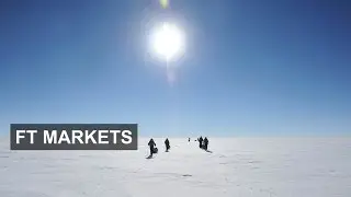 Sub-Zero Impact | FT Markets