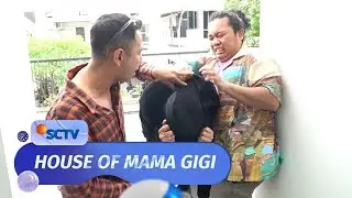 Ada SOSOK MISTERIUS Masuk Ke Kantor Papa Raffi dan Mama Gigi!! | House of Mama Gigi