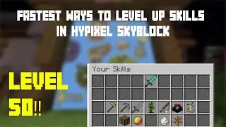 FASTEST Way To Level Up Skills in HYPIXEL SKYBLOCK