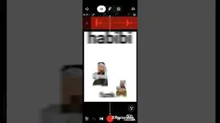 habibi funk dj mahmut