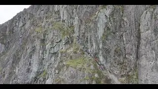 Langdales - dropro