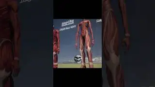 #cbum